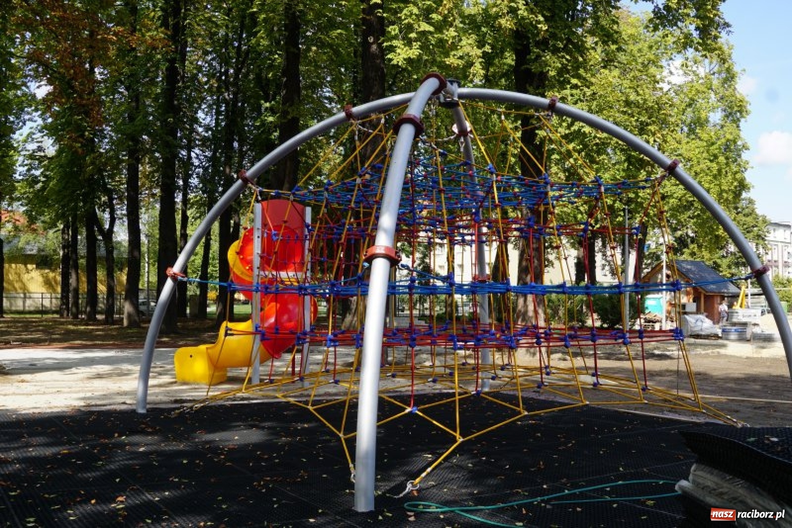 Zdjęcie w galerii na portalu naszraciborz.pl: Ogródek Jordanowski coraz bardziej kolorowy [FOTO]  wiadomości z regionu