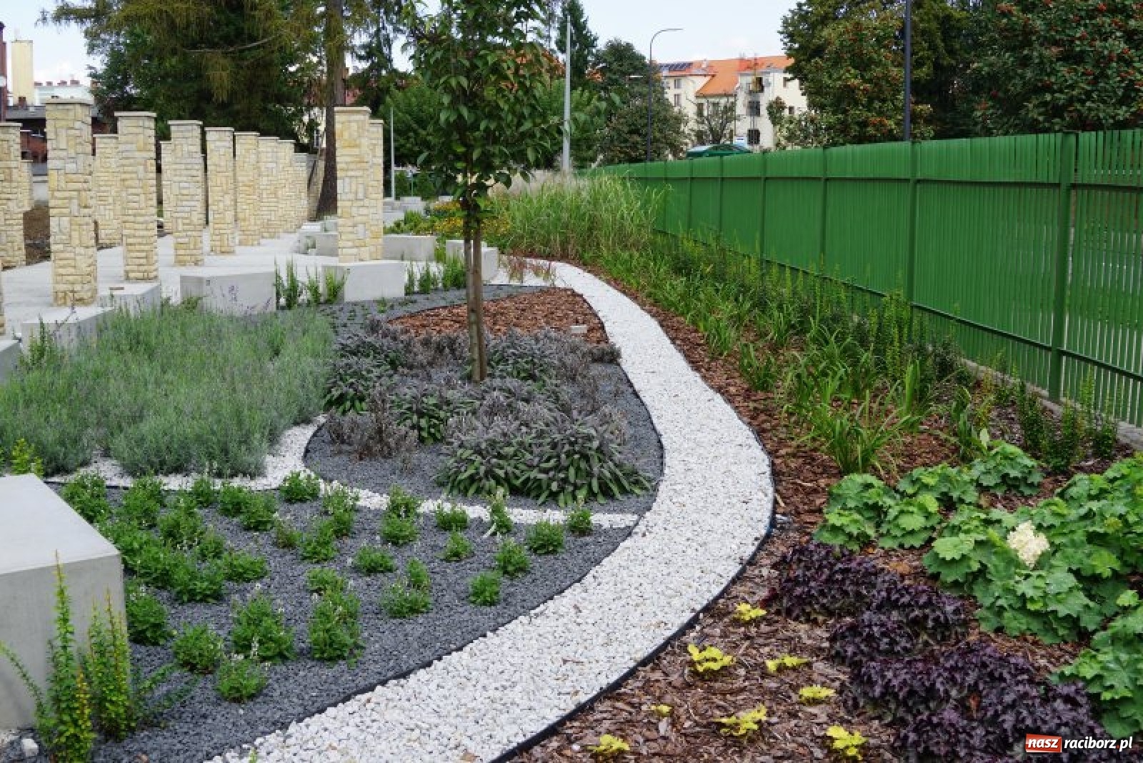 Zdjęcie w galerii na portalu naszraciborz.pl: Ogródek Jordanowski coraz bardziej kolorowy [FOTO]  wiadomości z regionu
