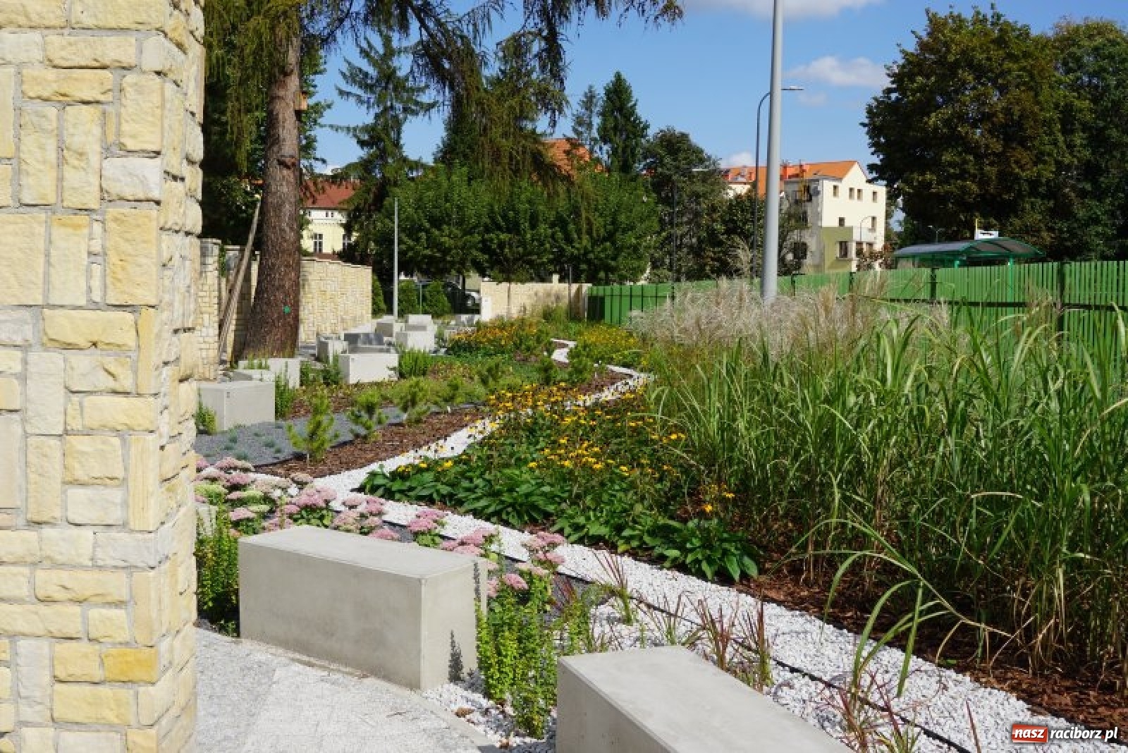 Zdjęcie w galerii na portalu naszraciborz.pl: Ogródek Jordanowski coraz bardziej kolorowy [FOTO]  wiadomości z regionu