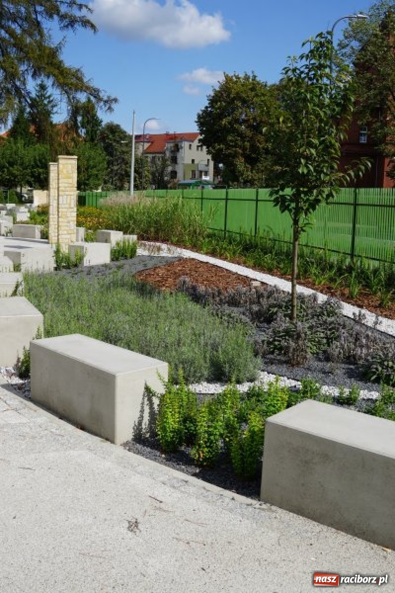 Zdjęcie w galerii na portalu naszraciborz.pl: Ogródek Jordanowski coraz bardziej kolorowy [FOTO]  wiadomości z regionu