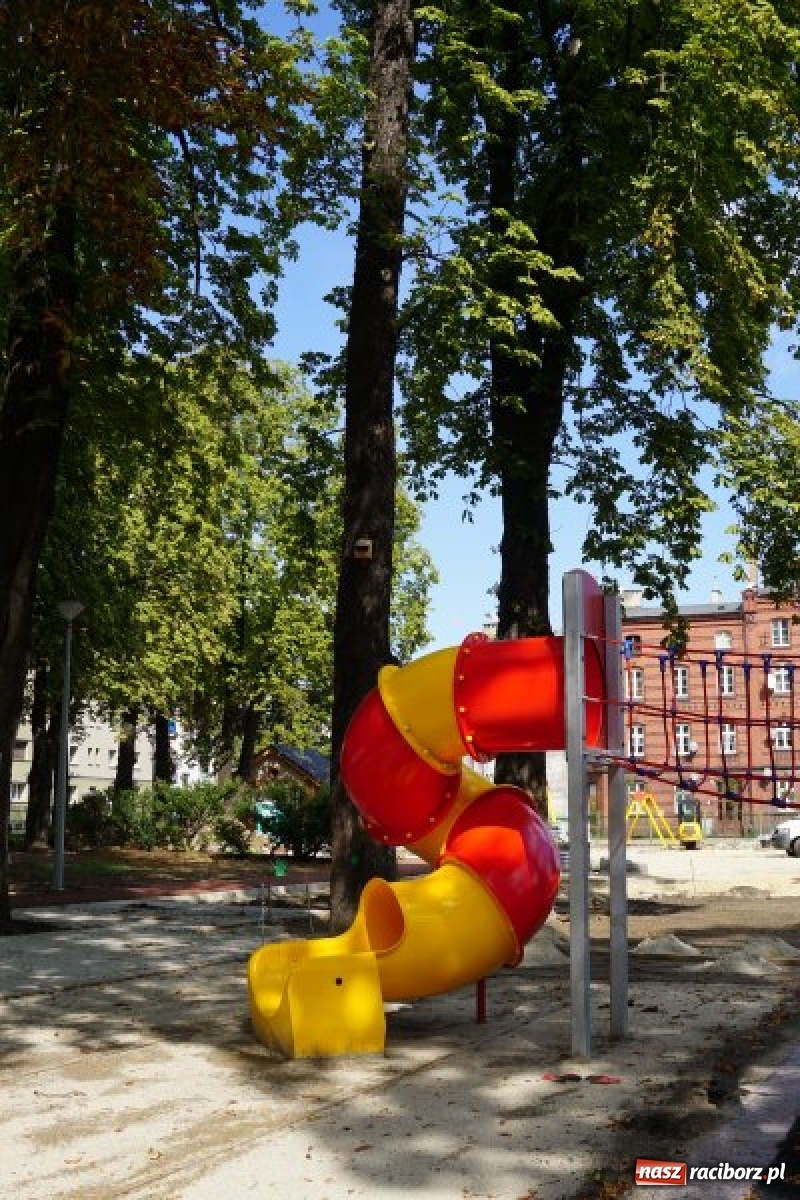 Zdjęcie w galerii na portalu naszraciborz.pl: Ogródek Jordanowski coraz bardziej kolorowy [FOTO]  wiadomości z regionu