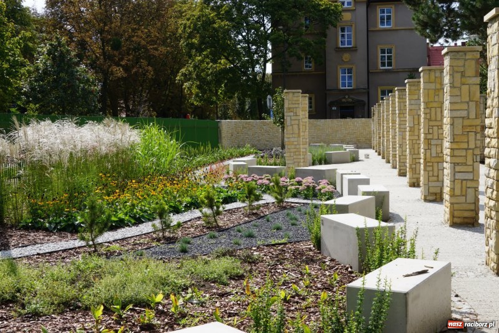 Zdjęcie w galerii na portalu naszraciborz.pl: Ogródek Jordanowski coraz bardziej kolorowy [FOTO]  wiadomości z regionu