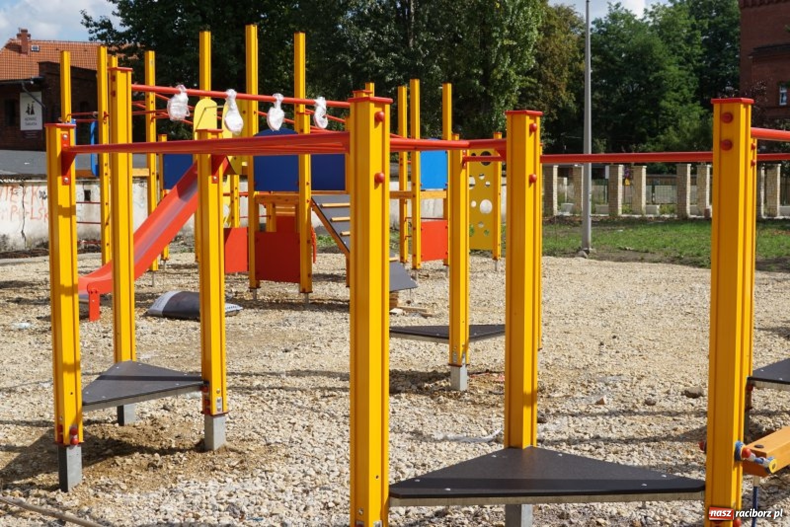 Zdjęcie w galerii na portalu naszraciborz.pl: Ogródek Jordanowski coraz bardziej kolorowy [FOTO]  wiadomości z regionu