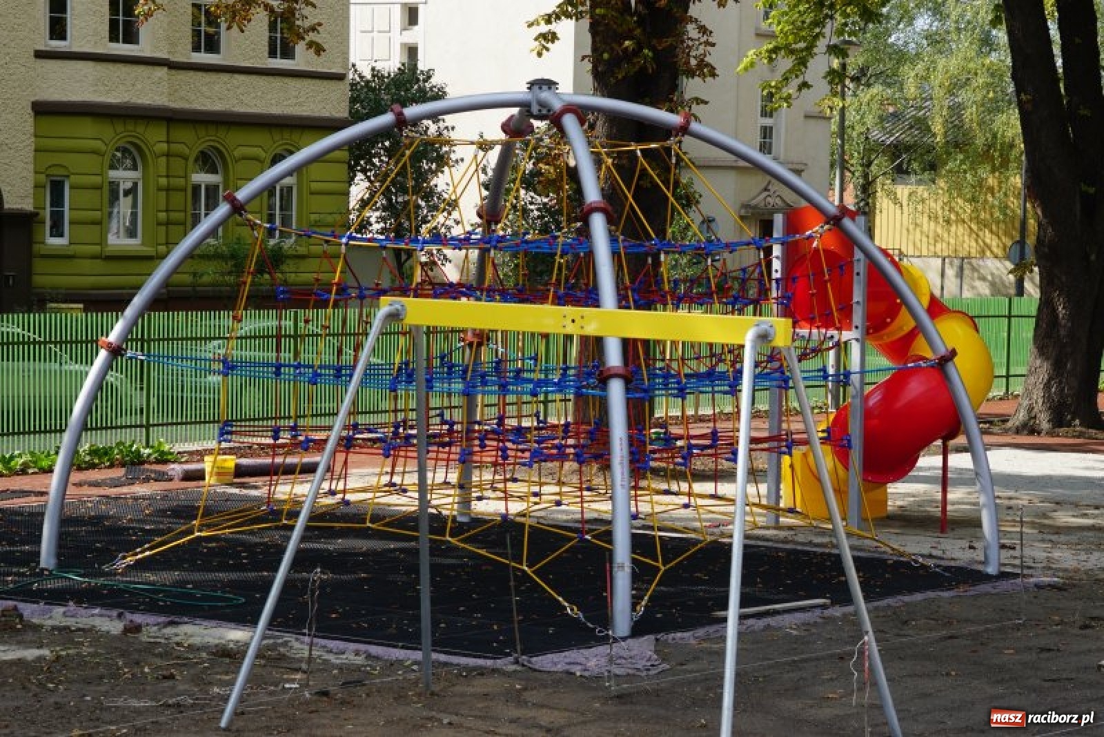 Zdjęcie w galerii na portalu naszraciborz.pl: Ogródek Jordanowski coraz bardziej kolorowy [FOTO]  wiadomości z regionu
