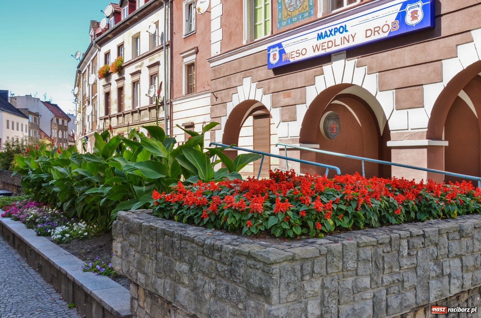 Zdjęcie w galerii na portalu naszraciborz.pl: Długa potrzebuje zastrzyku zieleni. Będzie więcej drzew! wiadomości z regionu