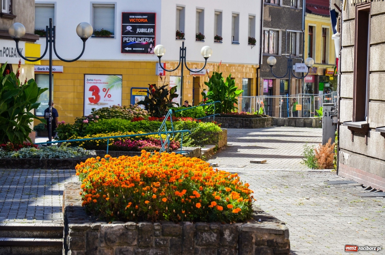 Zdjęcie w galerii na portalu naszraciborz.pl: Długa potrzebuje zastrzyku zieleni. Będzie więcej drzew! wiadomości z regionu