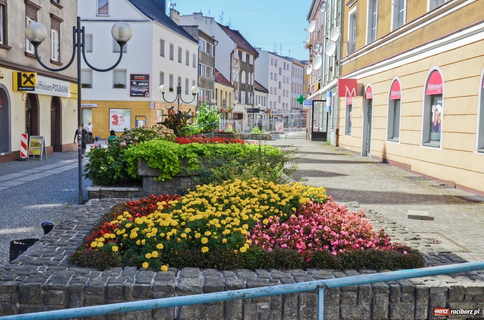 Zdjęcie w galerii na portalu naszraciborz.pl: Długa potrzebuje zastrzyku zieleni. Będzie więcej drzew! wiadomości z regionu