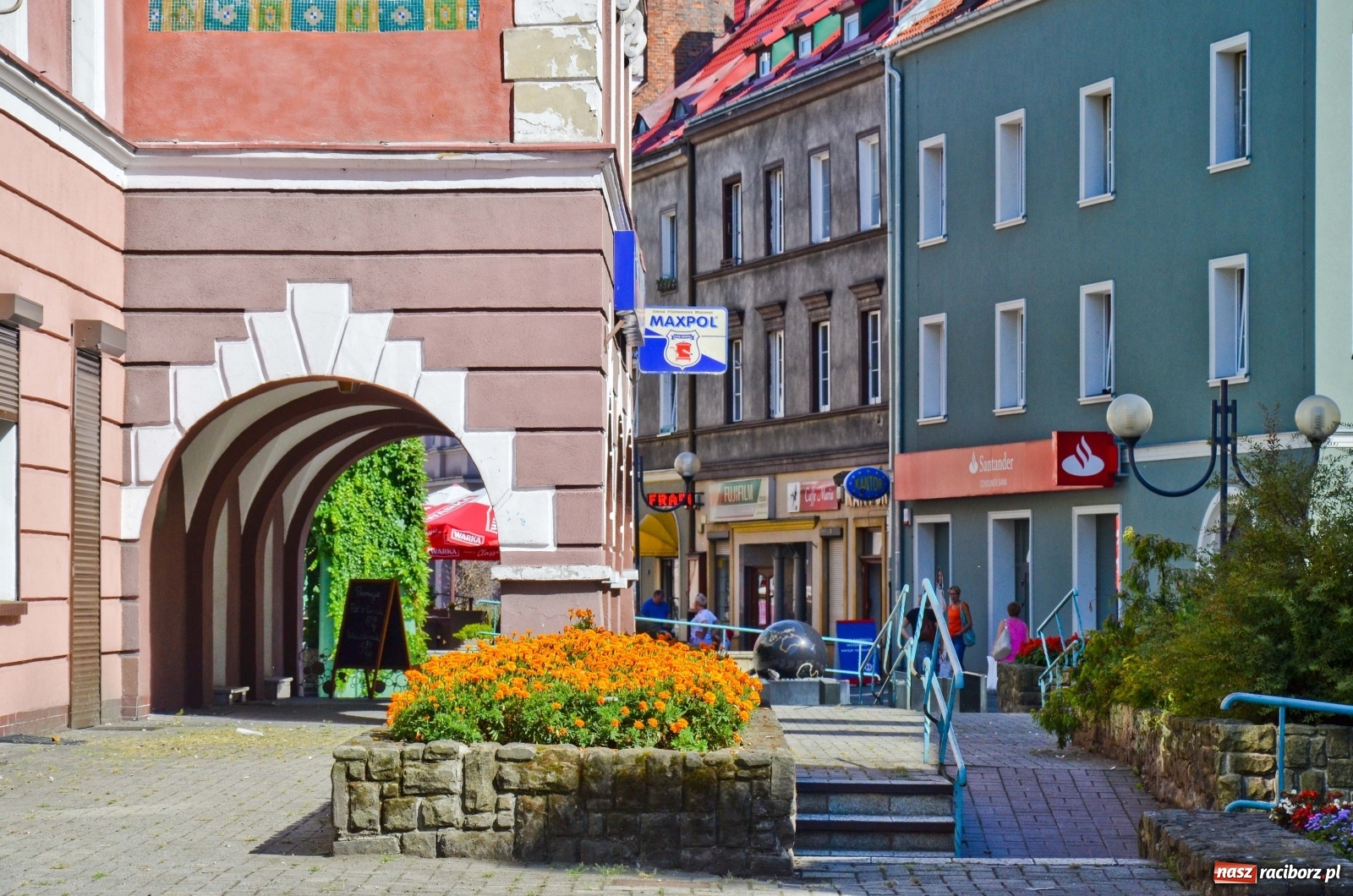Zdjęcie w galerii na portalu naszraciborz.pl: Długa potrzebuje zastrzyku zieleni. Będzie więcej drzew! wiadomości z regionu