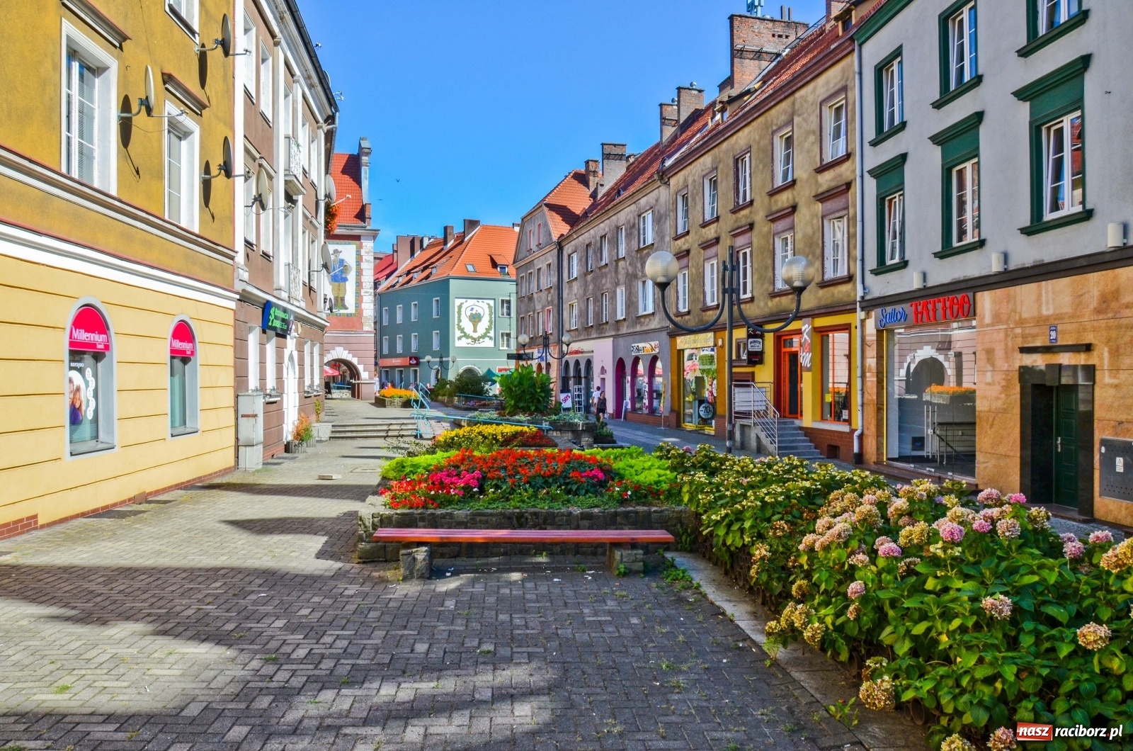 Zdjęcie w galerii na portalu naszraciborz.pl: Długa potrzebuje zastrzyku zieleni. Będzie więcej drzew! wiadomości z regionu