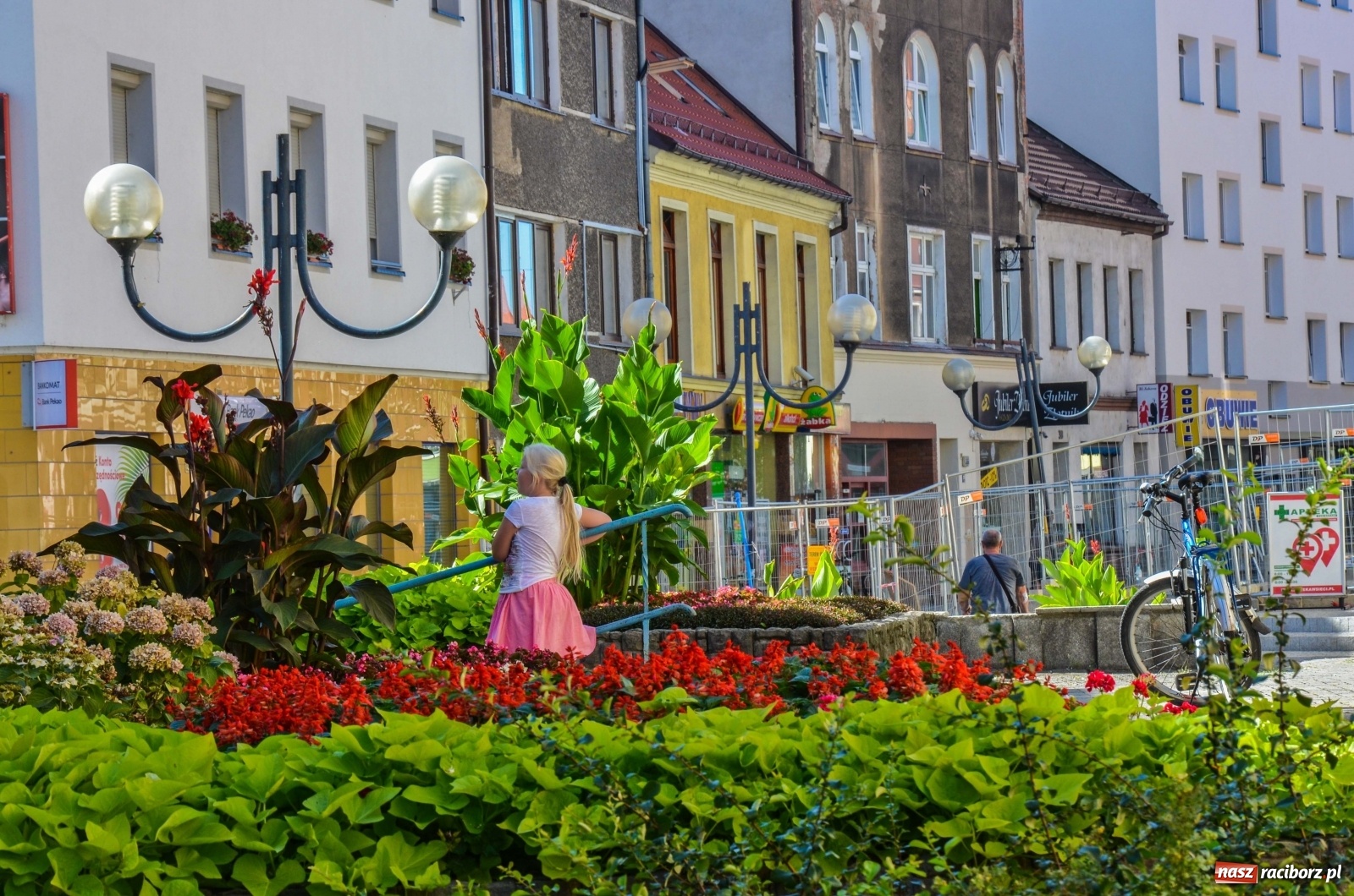 Zdjęcie w galerii na portalu naszraciborz.pl: Długa potrzebuje zastrzyku zieleni. Będzie więcej drzew! wiadomości z regionu