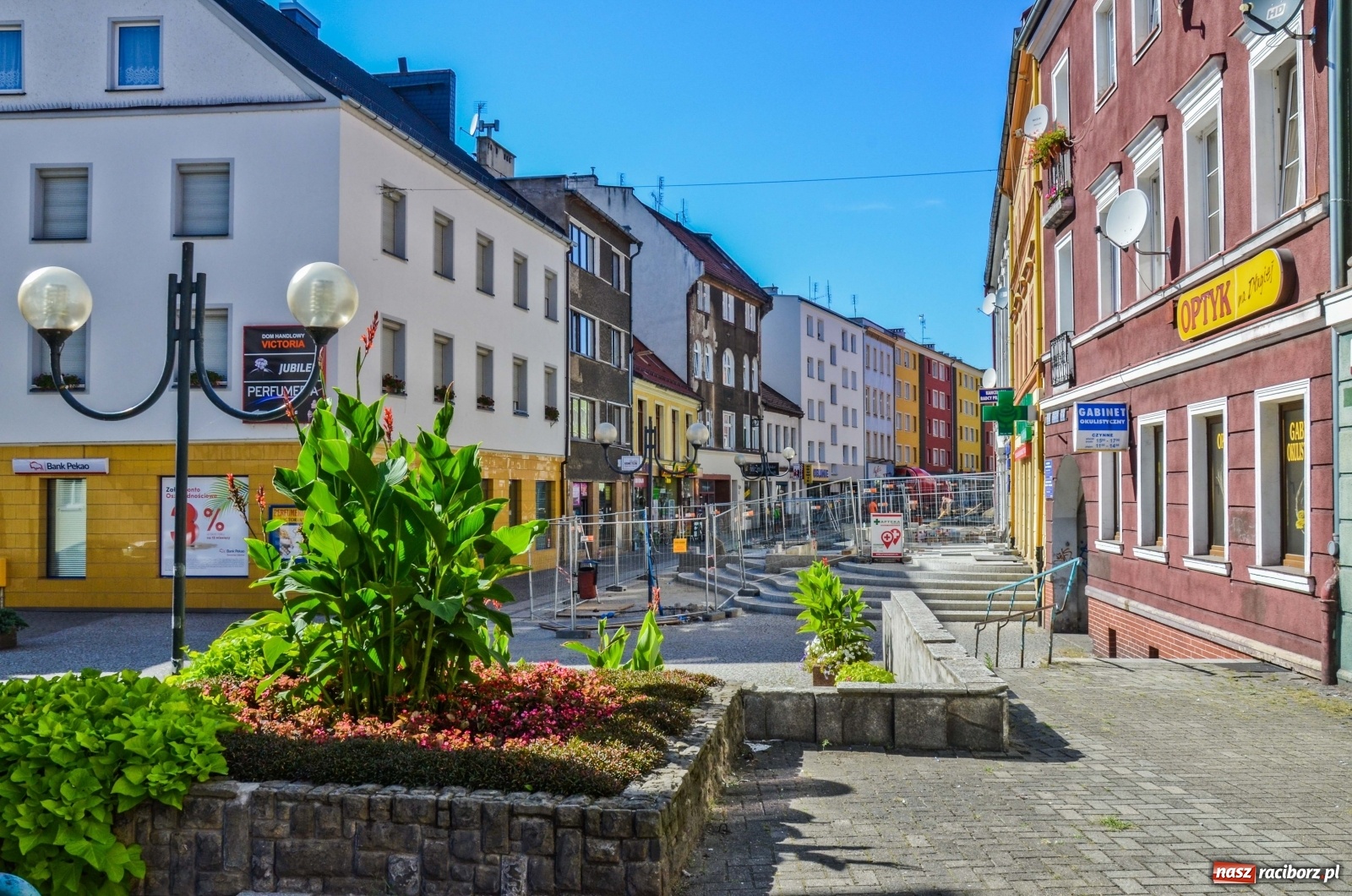 Zdjęcie w galerii na portalu naszraciborz.pl: Długa potrzebuje zastrzyku zieleni. Będzie więcej drzew! wiadomości z regionu