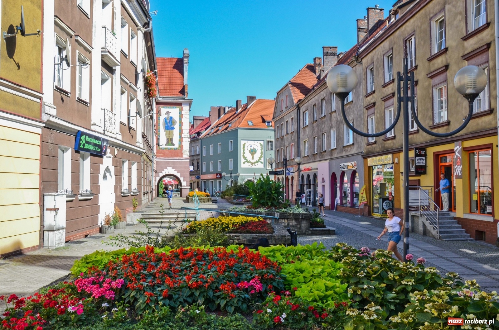 Zdjęcie w galerii na portalu naszraciborz.pl: Długa potrzebuje zastrzyku zieleni. Będzie więcej drzew! wiadomości z regionu