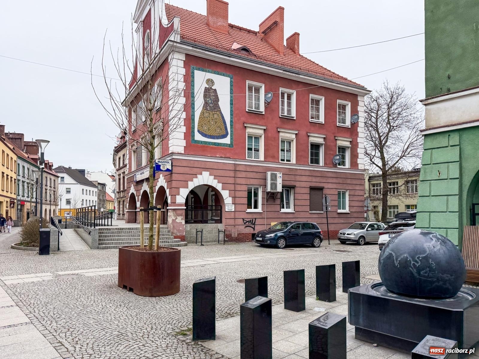 Zdjęcie w galerii na portalu naszraciborz.pl: Na Długiej pojawiły się platany. Na początek w donicach, docelowo mogą trafić do gruntu [FOTO] wiadomości z regionu