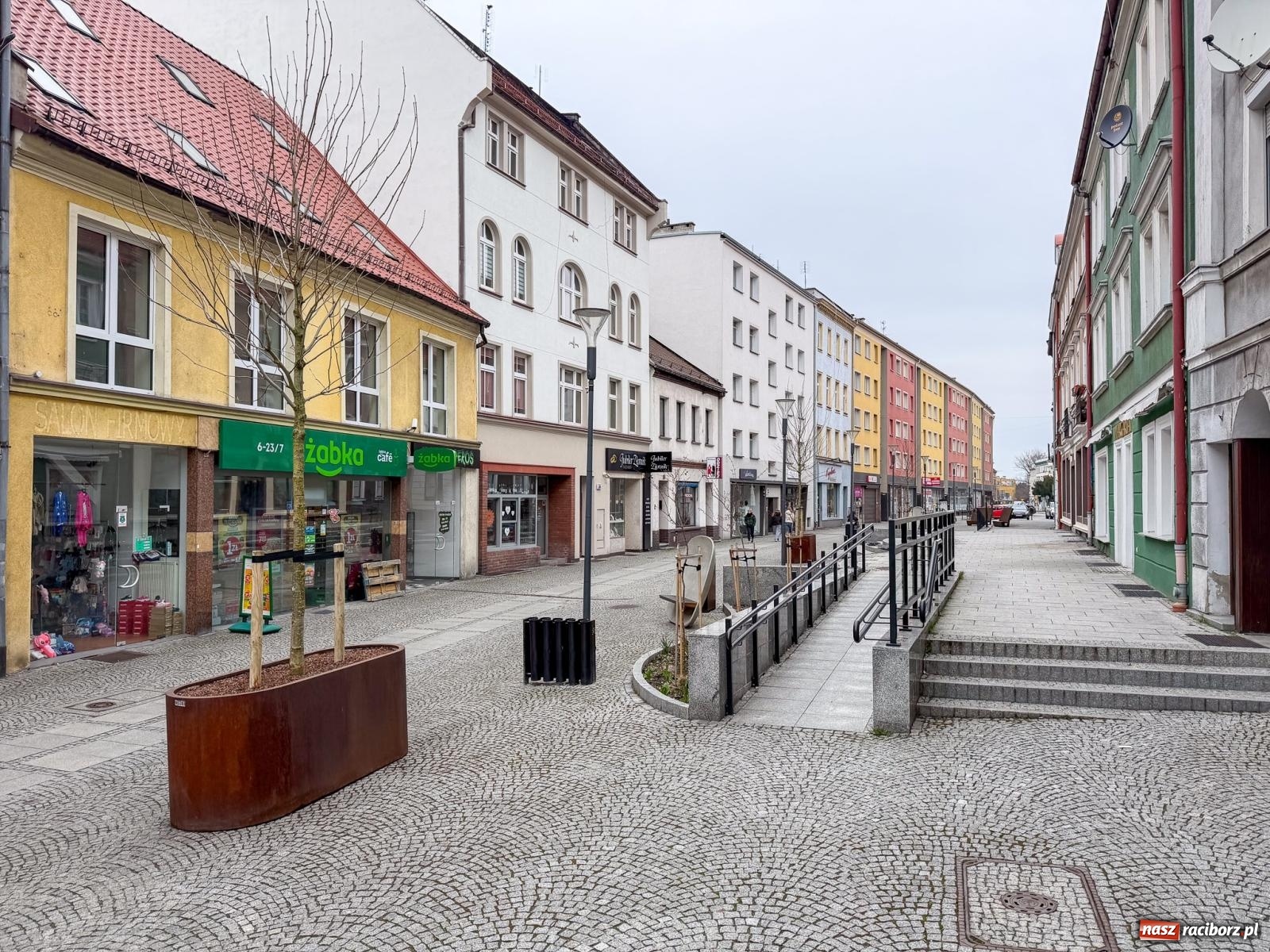 Zdjęcie w galerii na portalu naszraciborz.pl: Na Długiej pojawiły się platany. Na początek w donicach, docelowo mogą trafić do gruntu [FOTO] wiadomości z regionu