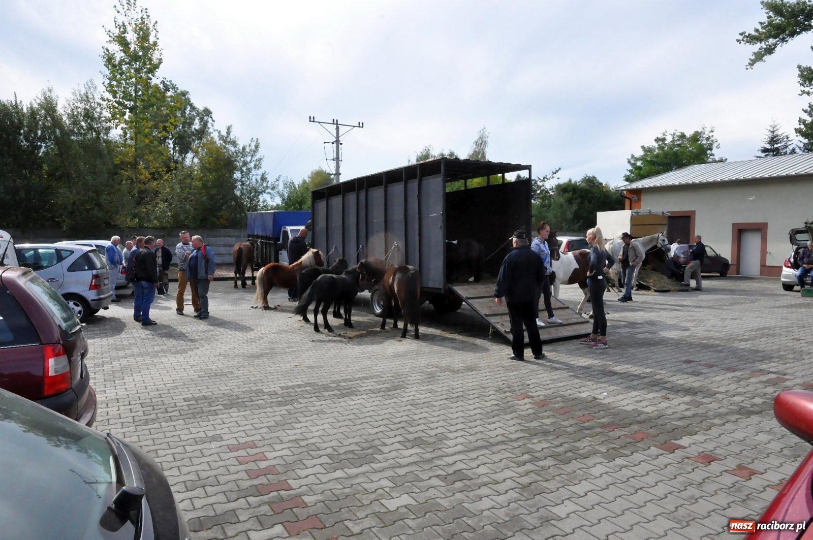 Zdjęcie w galerii na portalu naszraciborz.pl: Pierwszy jesienny targ staroci w Pietrowicach Wielkich [FOTO] wiadomości z regionu