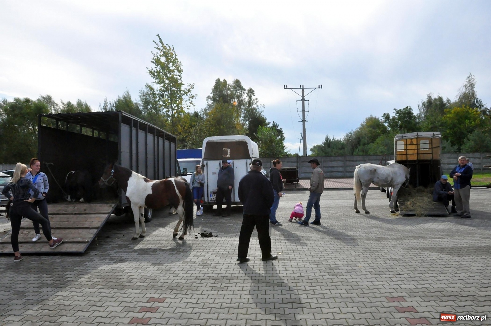 Zdjęcie w galerii na portalu naszraciborz.pl: Pierwszy jesienny targ staroci w Pietrowicach Wielkich [FOTO] wiadomości z regionu