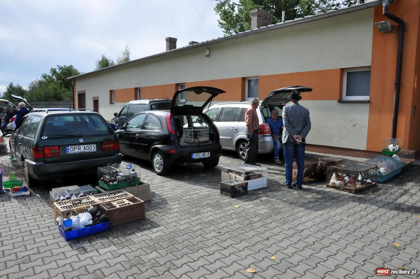 Zdjęcie w galerii na portalu naszraciborz.pl: Pierwszy jesienny targ staroci w Pietrowicach Wielkich [FOTO] wiadomości z regionu