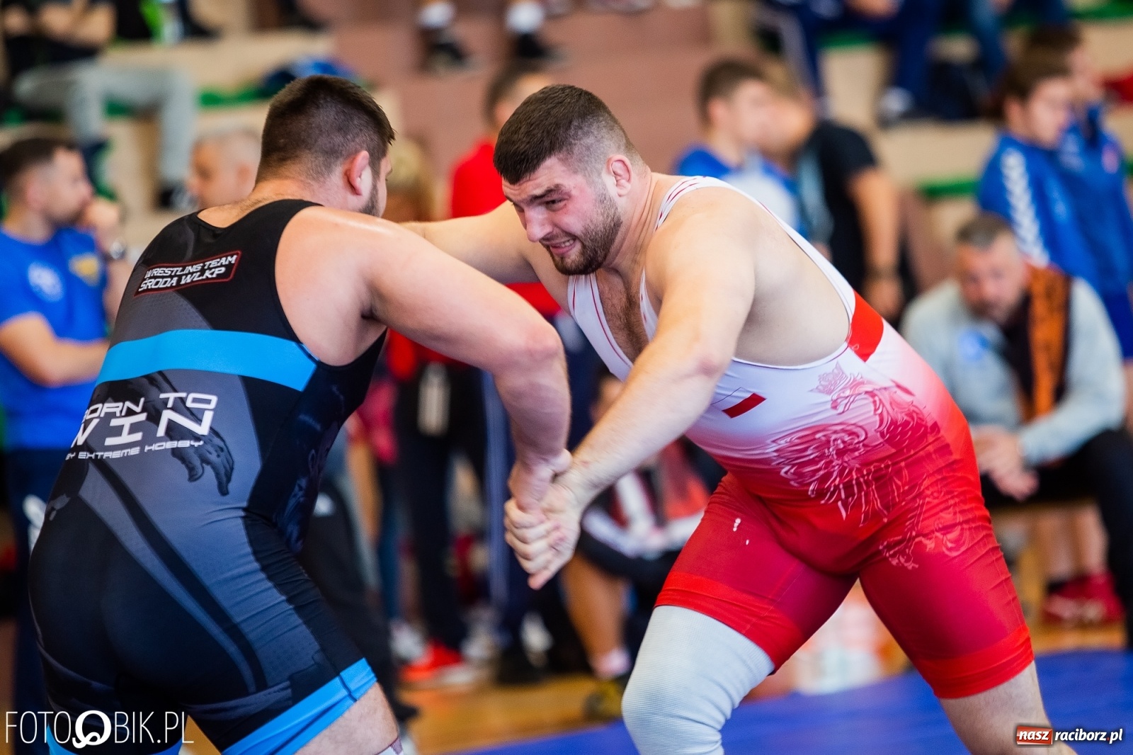 Zdjęcie w galerii na portalu naszraciborz.pl: Młodzieżowe Mistrzostwa Polski w zapasach w Rudniku  wiadomości z regionu