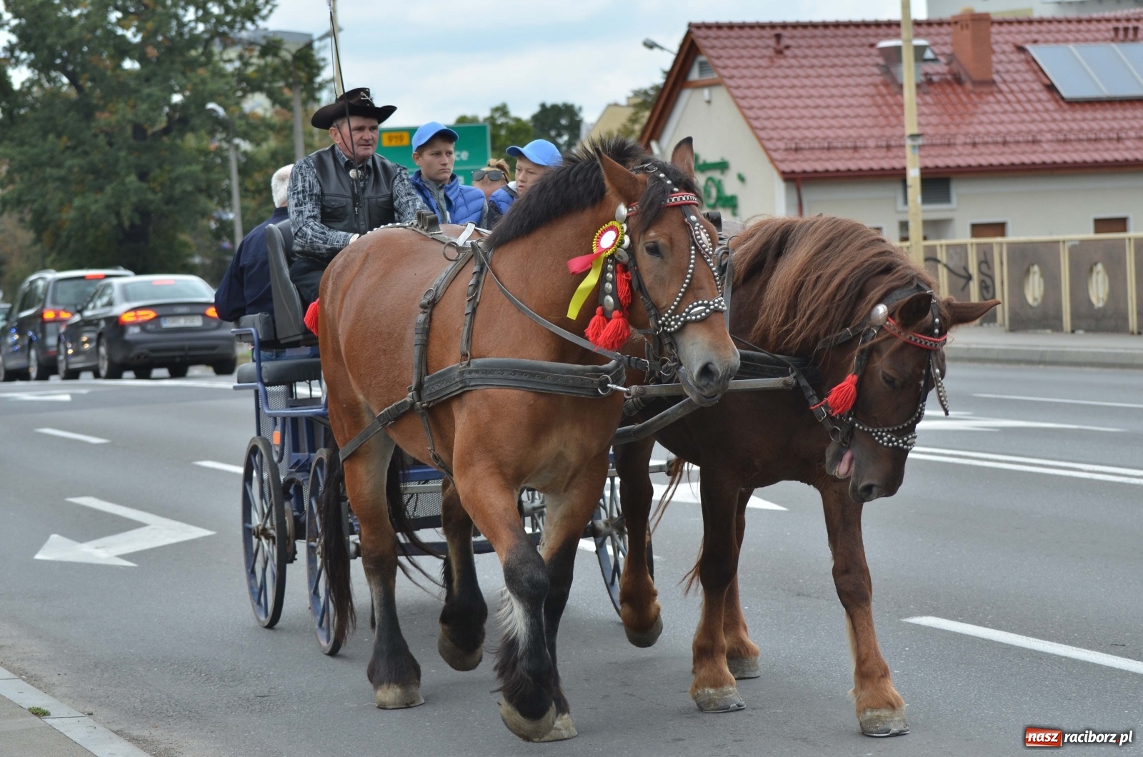 Zdjęcie w galerii na portalu naszraciborz.pl: Raciborski Hubertus 2019 [FOTO i WIDEO] wiadomości z regionu