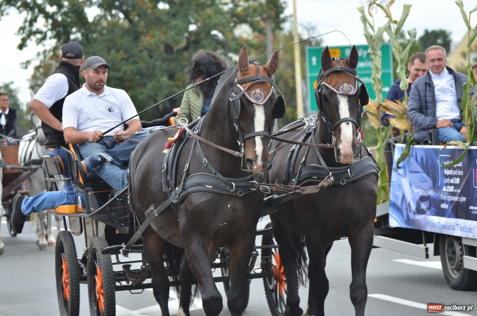Zdjęcie w galerii na portalu naszraciborz.pl: Raciborski Hubertus 2019 [FOTO i WIDEO] wiadomości z regionu