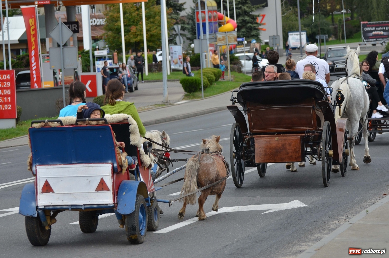 Zdjęcie w galerii na portalu naszraciborz.pl: Raciborski Hubertus 2019 [FOTO i WIDEO] wiadomości z regionu