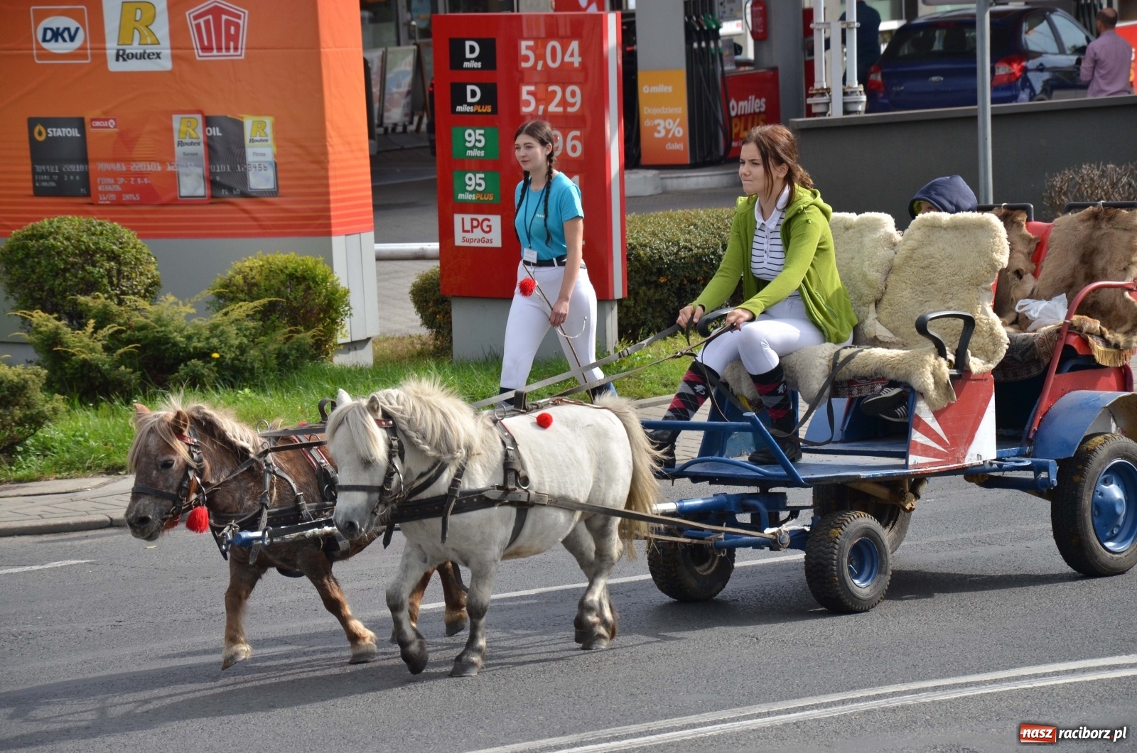 Zdjęcie w galerii na portalu naszraciborz.pl: Raciborski Hubertus 2019 [FOTO i WIDEO] wiadomości z regionu