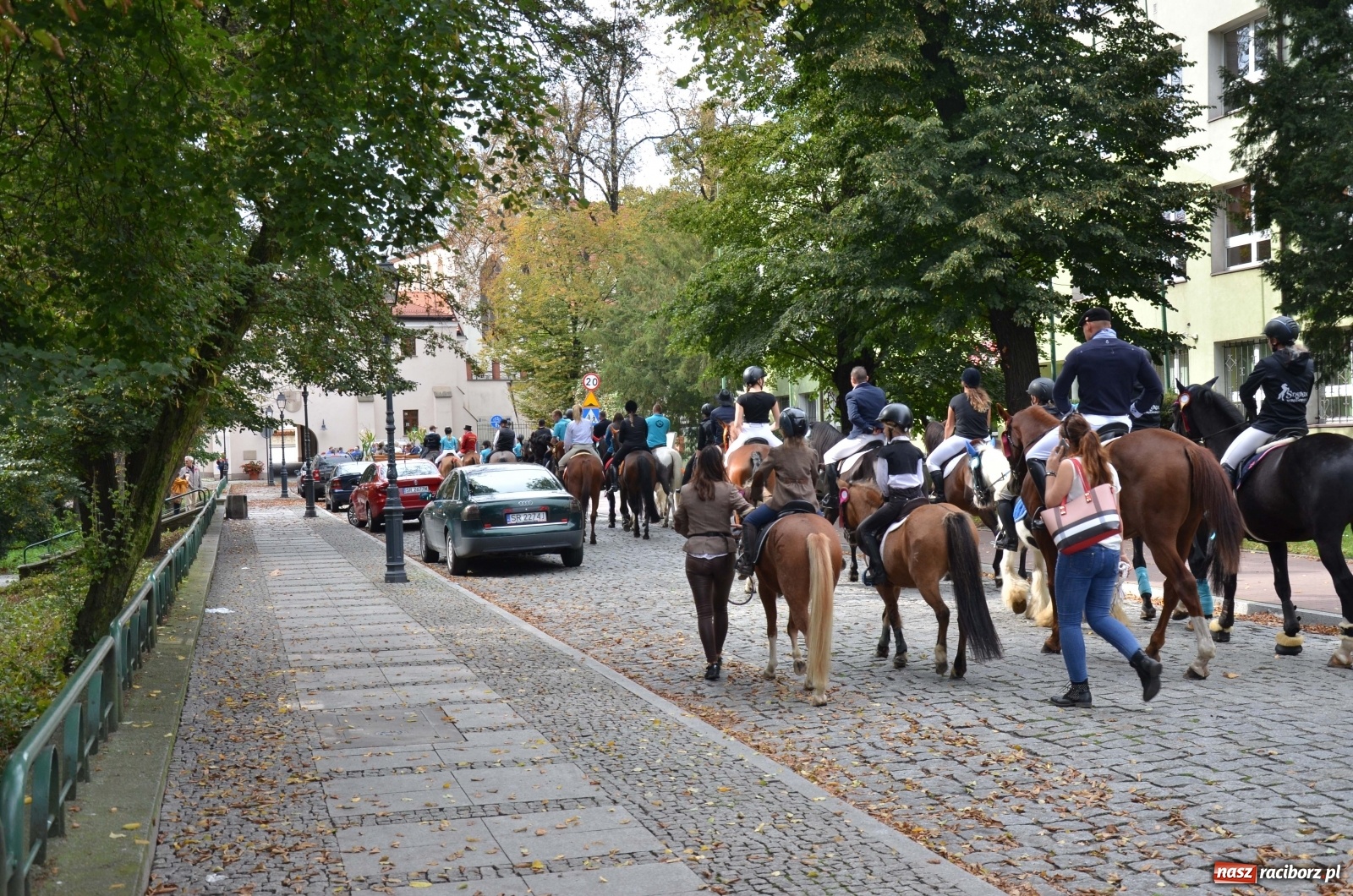 Zdjęcie w galerii na portalu naszraciborz.pl: Raciborski Hubertus 2019 [FOTO i WIDEO] wiadomości z regionu