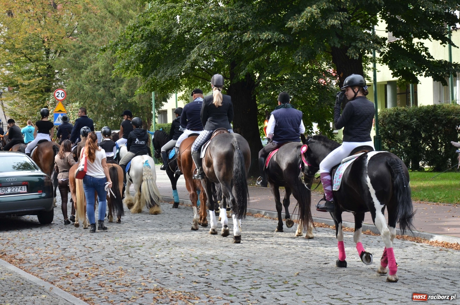 Zdjęcie w galerii na portalu naszraciborz.pl: Raciborski Hubertus 2019 [FOTO i WIDEO] wiadomości z regionu