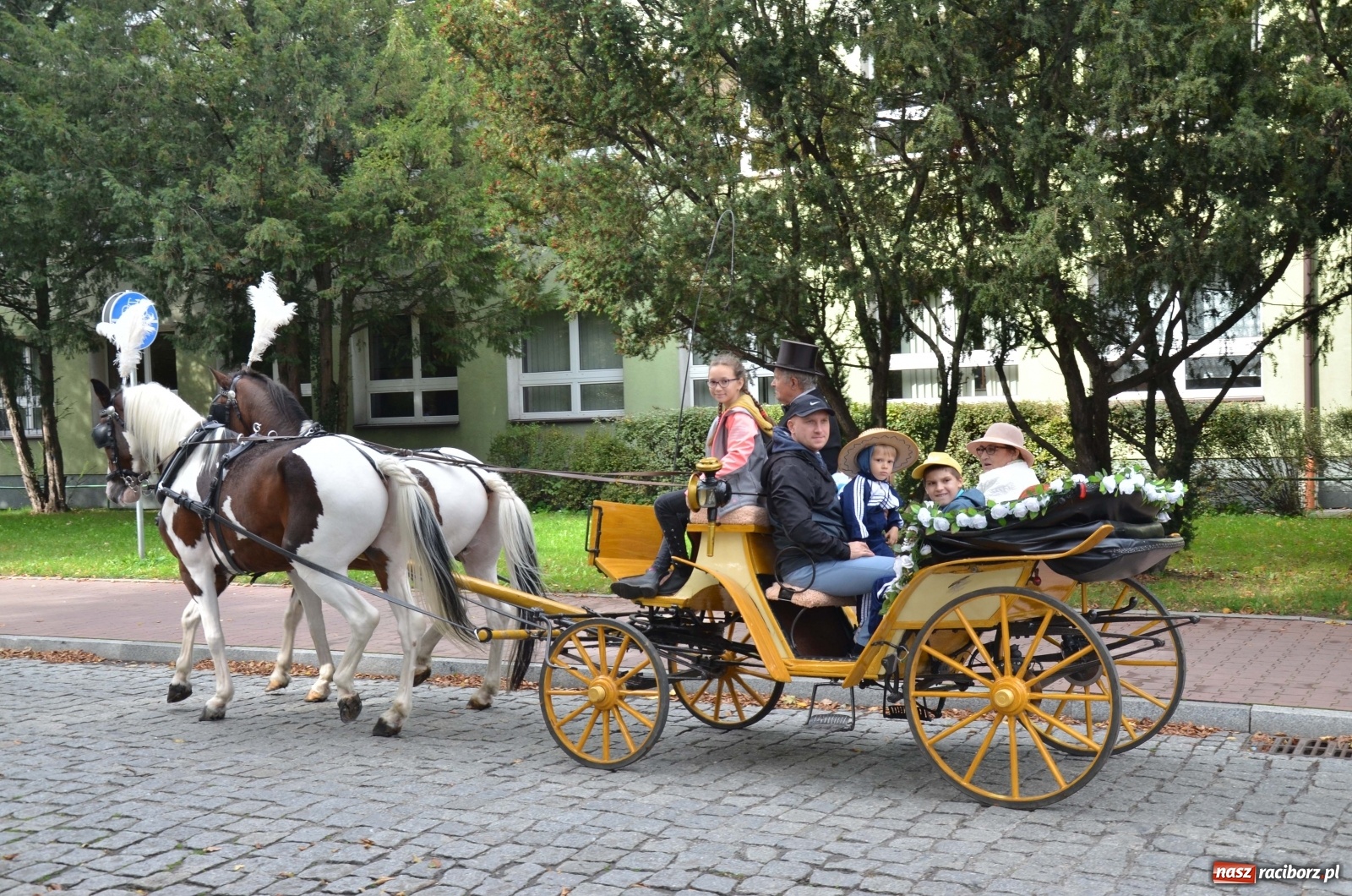 Zdjęcie w galerii na portalu naszraciborz.pl: Raciborski Hubertus 2019 [FOTO i WIDEO] wiadomości z regionu