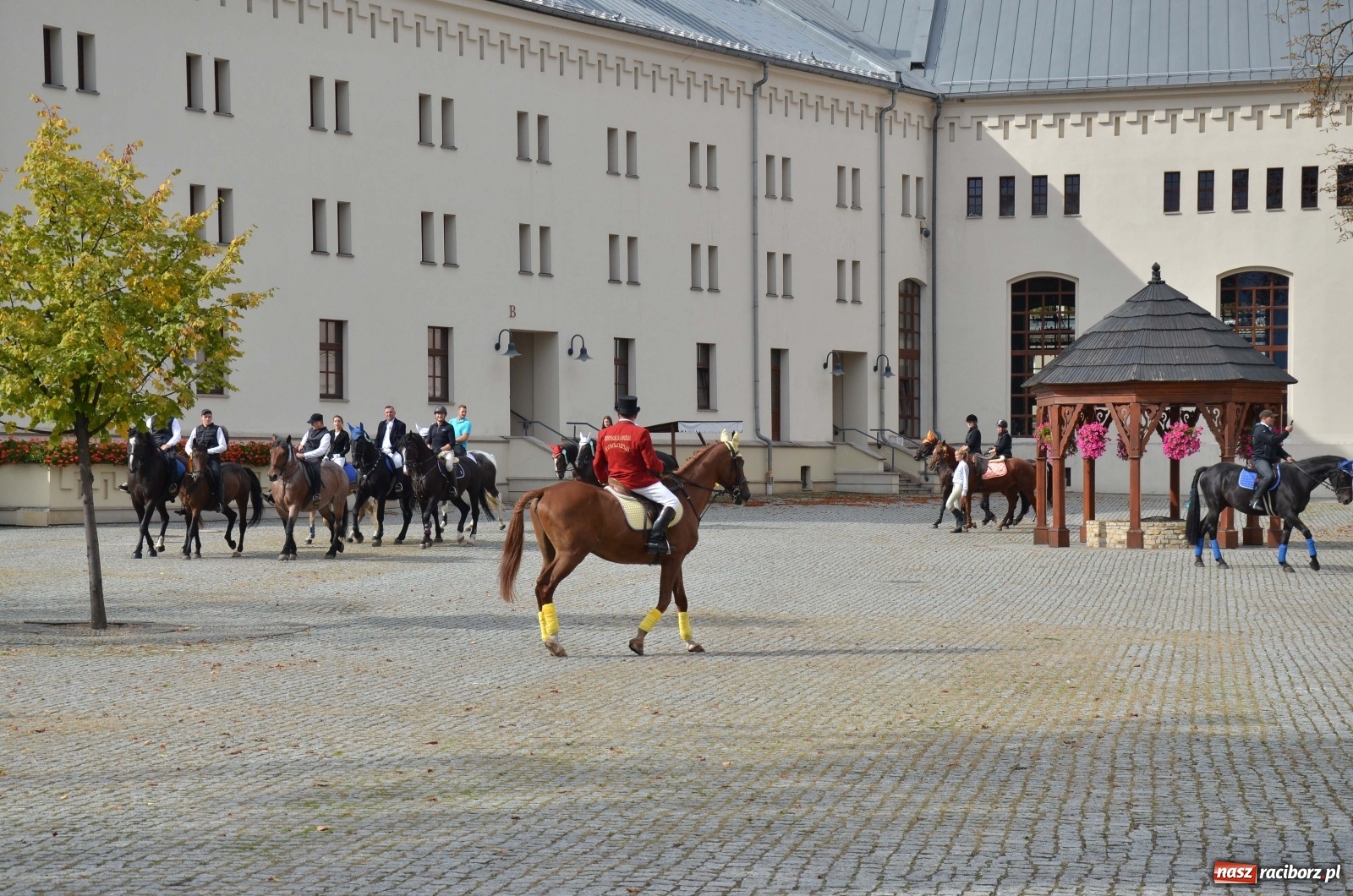 Zdjęcie w galerii na portalu naszraciborz.pl: Raciborski Hubertus 2019 [FOTO i WIDEO] wiadomości z regionu