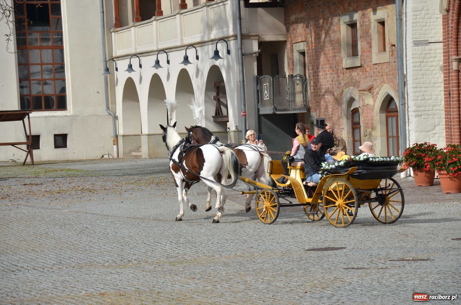 Zdjęcie w galerii na portalu naszraciborz.pl: Raciborski Hubertus 2019 [FOTO i WIDEO] wiadomości z regionu