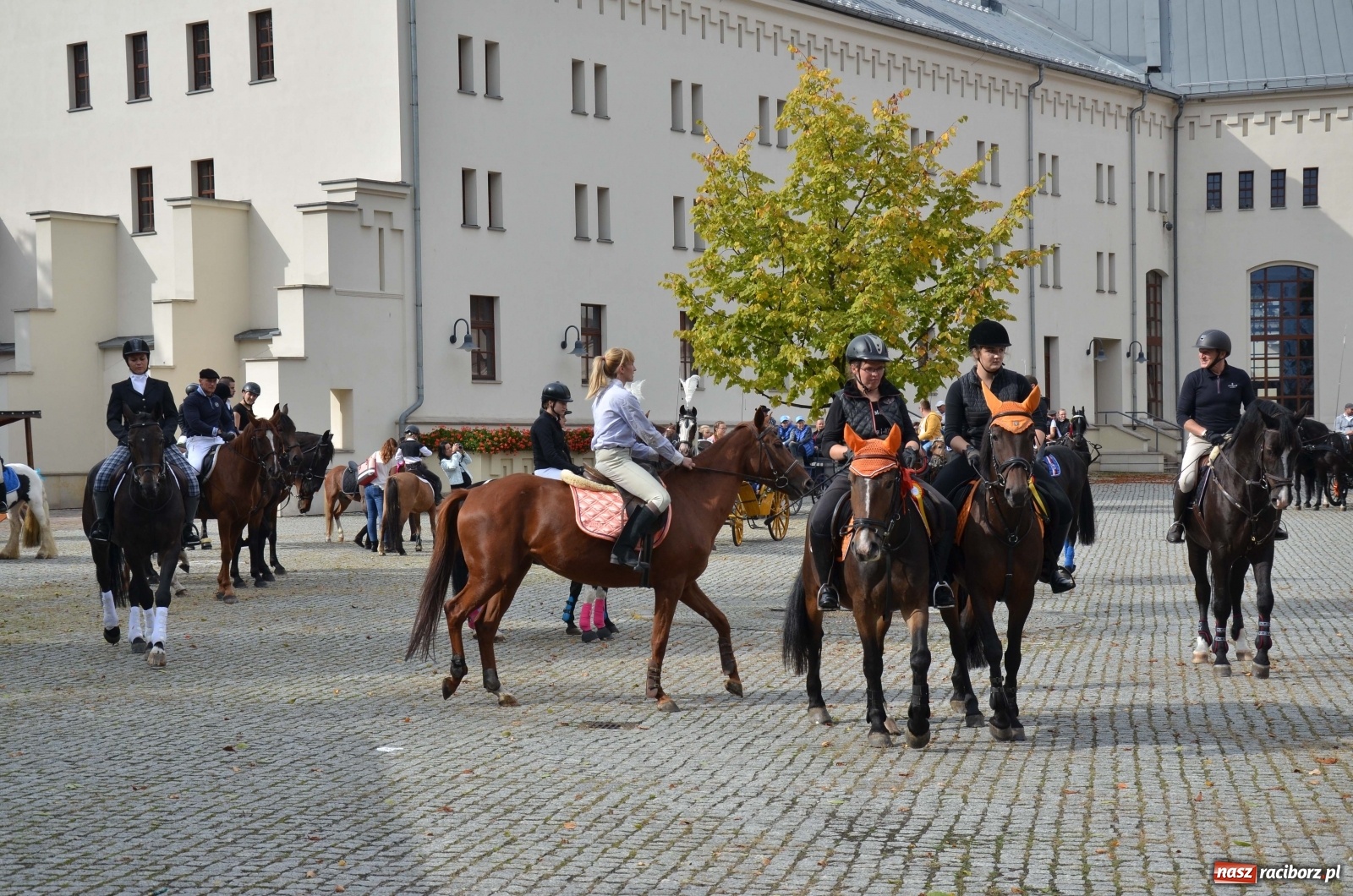 Zdjęcie w galerii na portalu naszraciborz.pl: Raciborski Hubertus 2019 [FOTO i WIDEO] wiadomości z regionu
