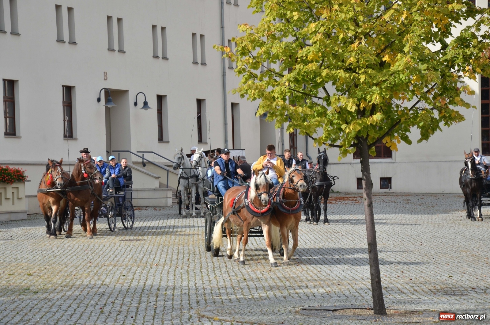 Zdjęcie w galerii na portalu naszraciborz.pl: Raciborski Hubertus 2019 [FOTO i WIDEO] wiadomości z regionu