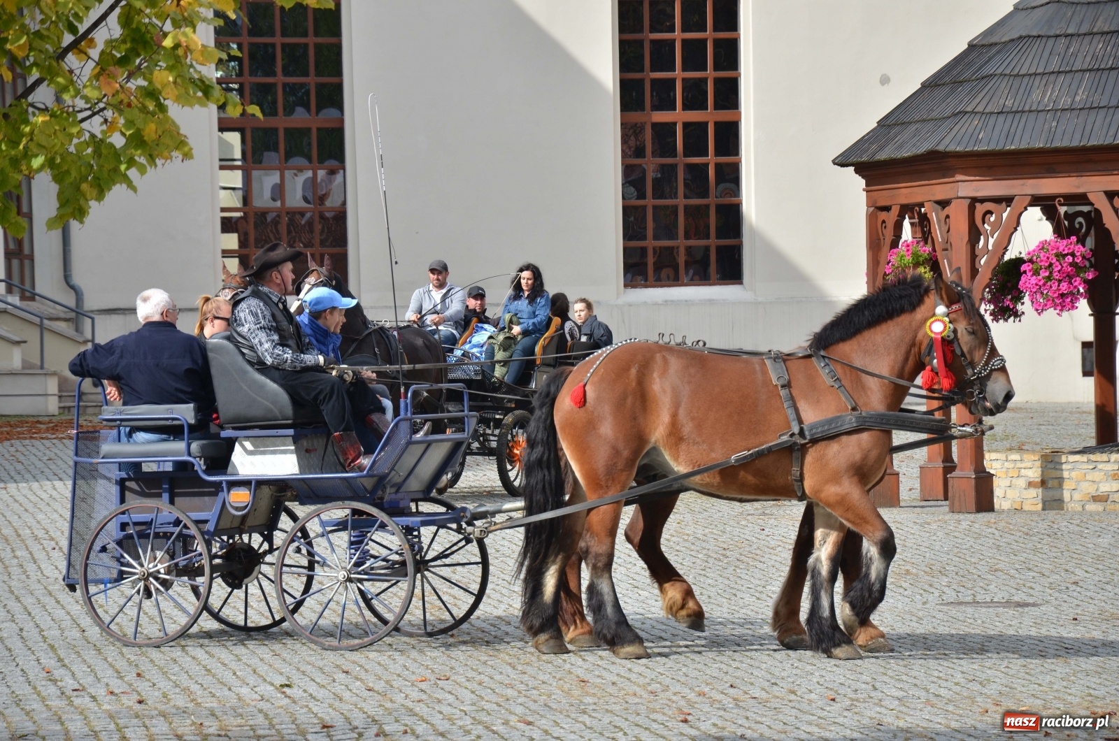 Zdjęcie w galerii na portalu naszraciborz.pl: Raciborski Hubertus 2019 [FOTO i WIDEO] wiadomości z regionu