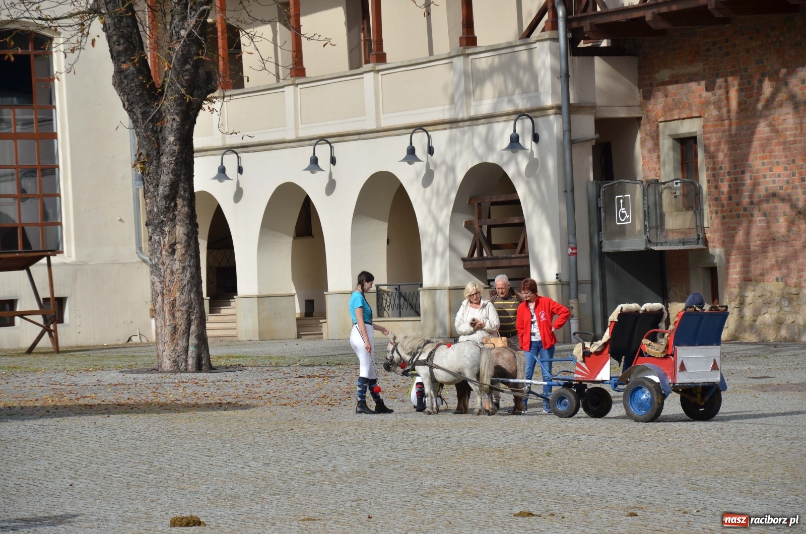Zdjęcie w galerii na portalu naszraciborz.pl: Raciborski Hubertus 2019 [FOTO i WIDEO] wiadomości z regionu