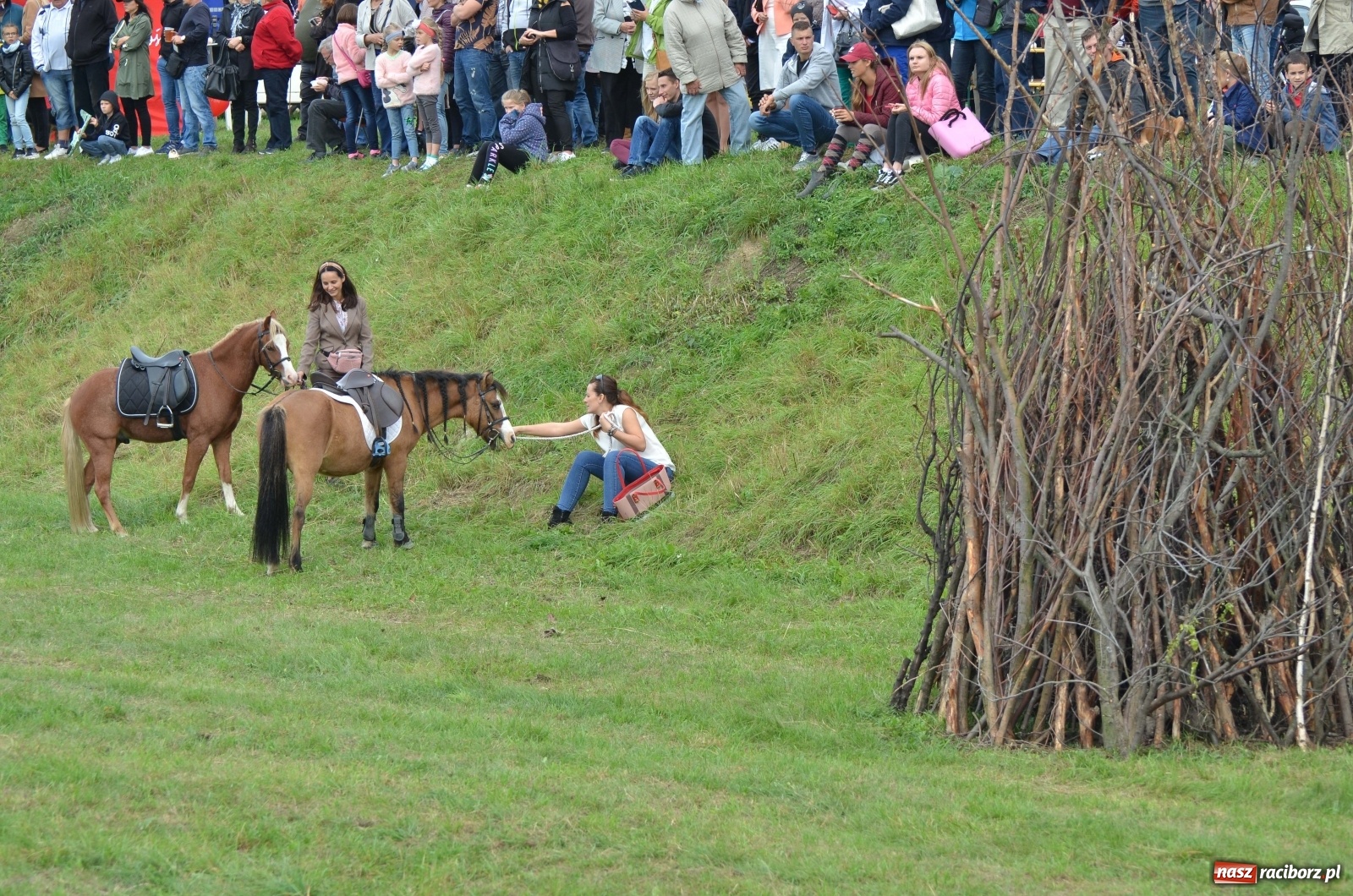 Zdjęcie w galerii na portalu naszraciborz.pl: Raciborski Hubertus 2019 [FOTO i WIDEO] wiadomości z regionu