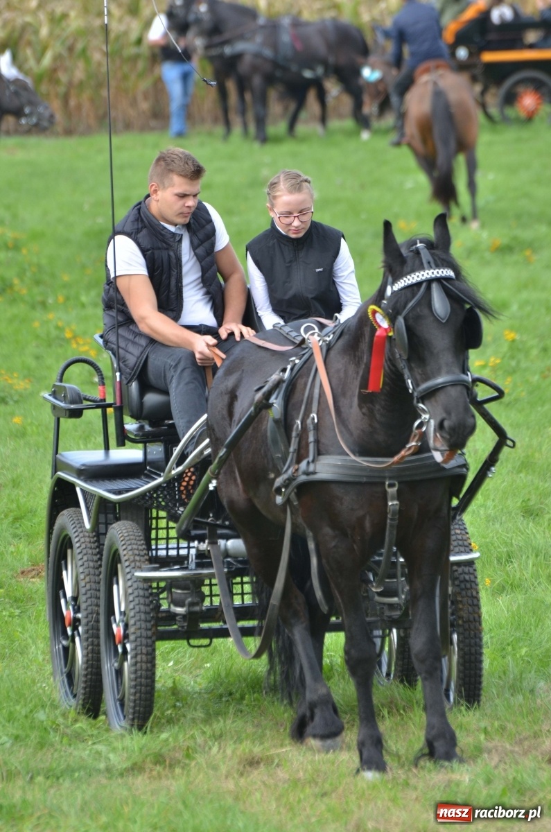 Zdjęcie w galerii na portalu naszraciborz.pl: Raciborski Hubertus 2019 [FOTO i WIDEO] wiadomości z regionu