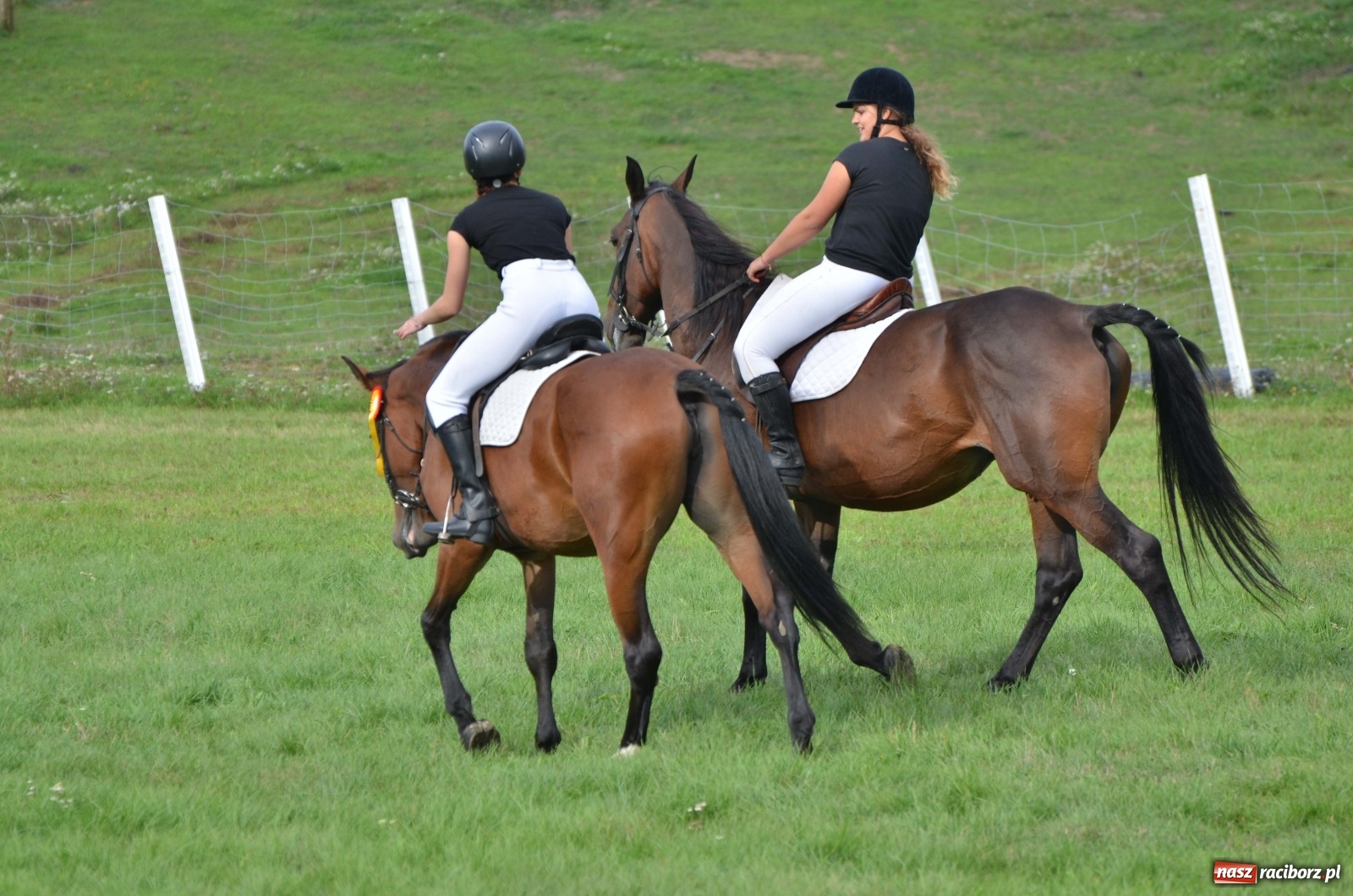 Zdjęcie w galerii na portalu naszraciborz.pl: Raciborski Hubertus 2019 [FOTO i WIDEO] wiadomości z regionu