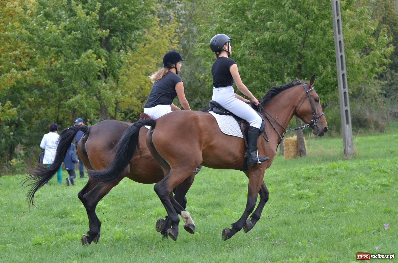 Zdjęcie w galerii na portalu naszraciborz.pl: Raciborski Hubertus 2019 [FOTO i WIDEO] wiadomości z regionu