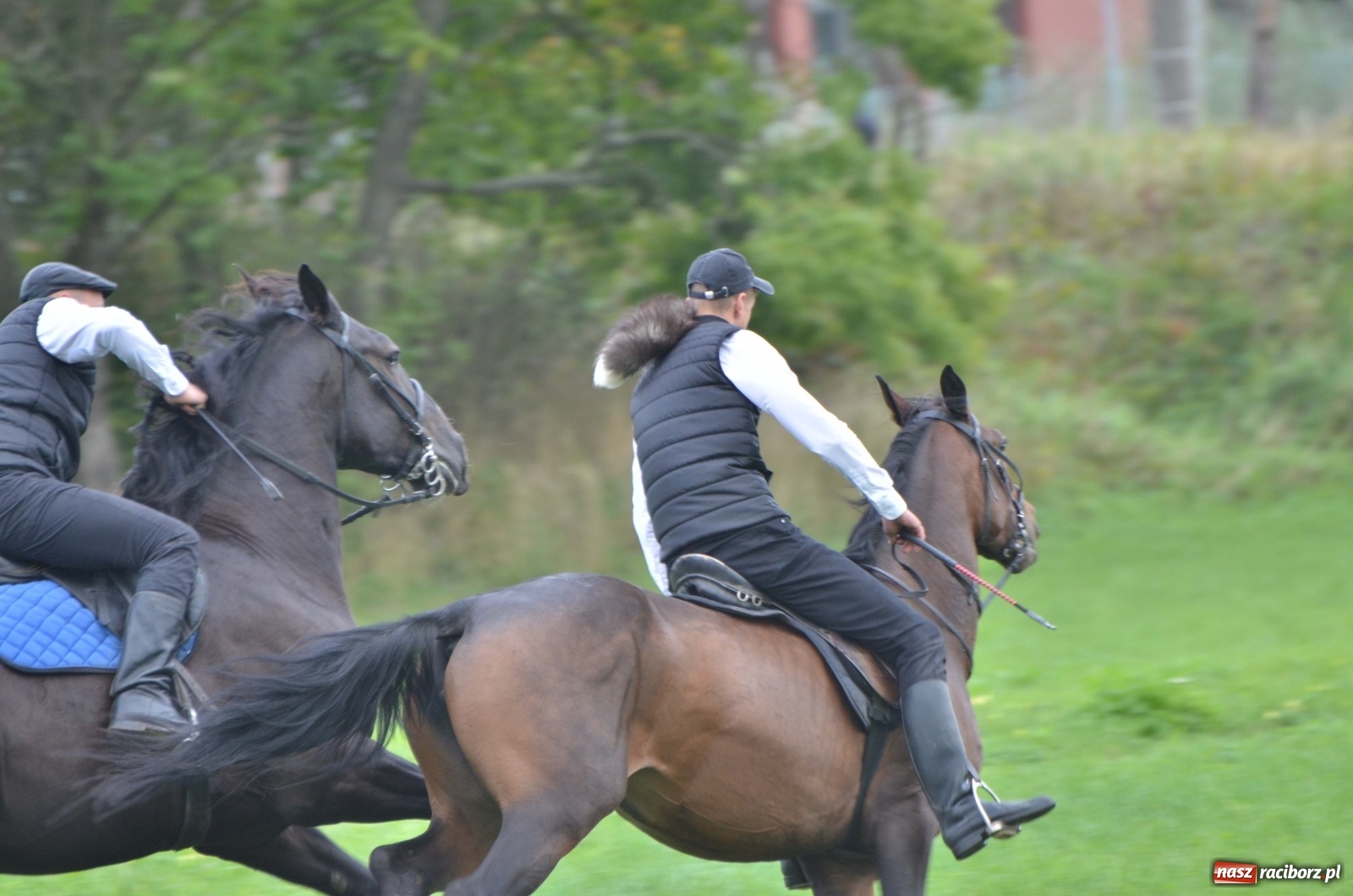 Zdjęcie w galerii na portalu naszraciborz.pl: Raciborski Hubertus 2019 [FOTO i WIDEO] wiadomości z regionu