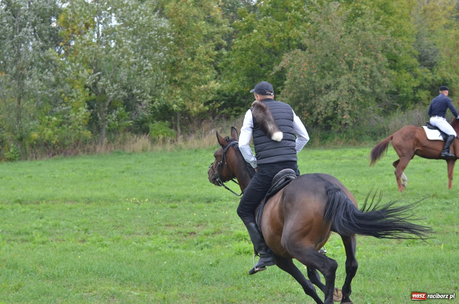 Zdjęcie w galerii na portalu naszraciborz.pl: Raciborski Hubertus 2019 [FOTO i WIDEO] wiadomości z regionu