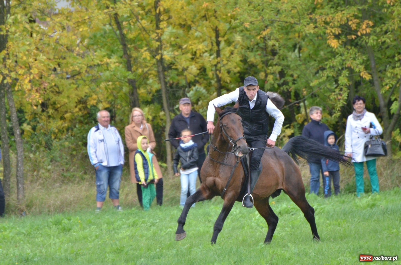 Zdjęcie w galerii na portalu naszraciborz.pl: Raciborski Hubertus 2019 [FOTO i WIDEO] wiadomości z regionu