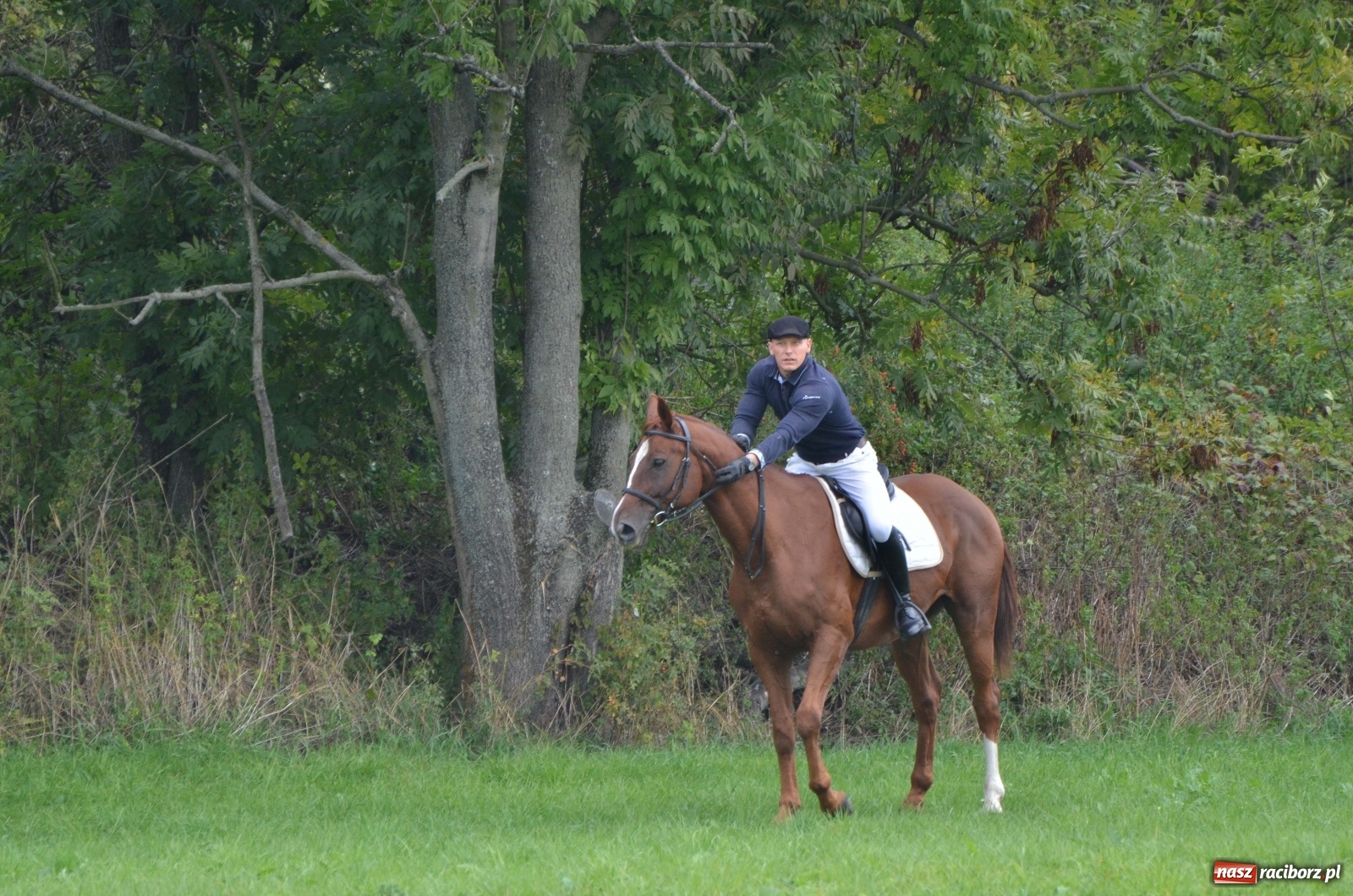 Zdjęcie w galerii na portalu naszraciborz.pl: Raciborski Hubertus 2019 [FOTO i WIDEO] wiadomości z regionu