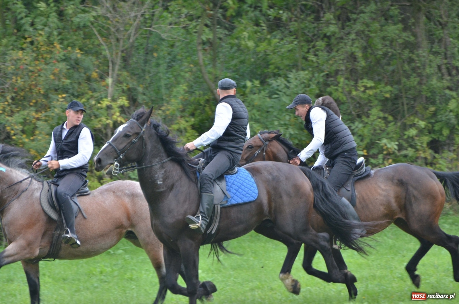 Zdjęcie w galerii na portalu naszraciborz.pl: Raciborski Hubertus 2019 [FOTO i WIDEO] wiadomości z regionu