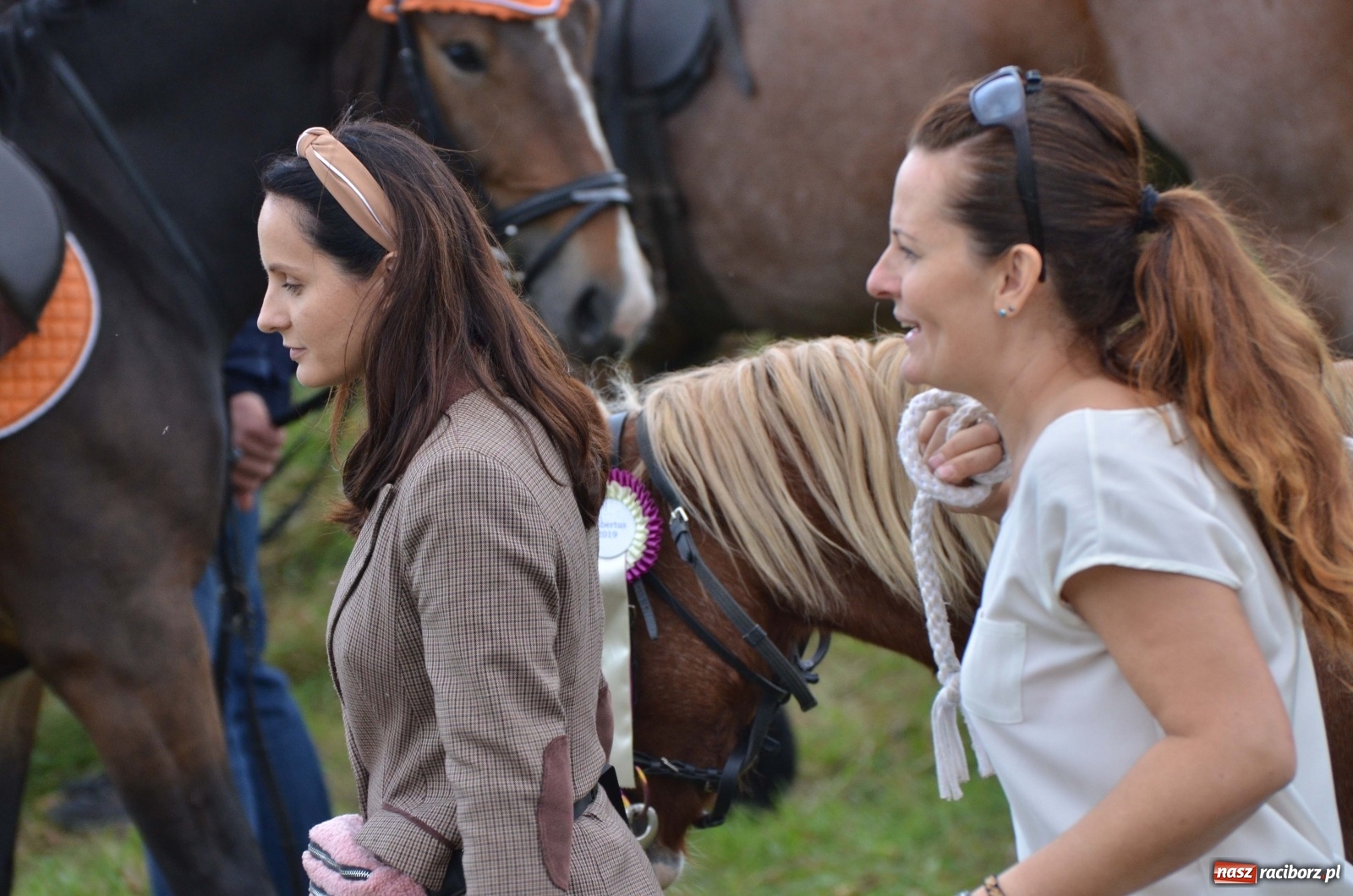 Zdjęcie w galerii na portalu naszraciborz.pl: Raciborski Hubertus 2019 [FOTO i WIDEO] wiadomości z regionu