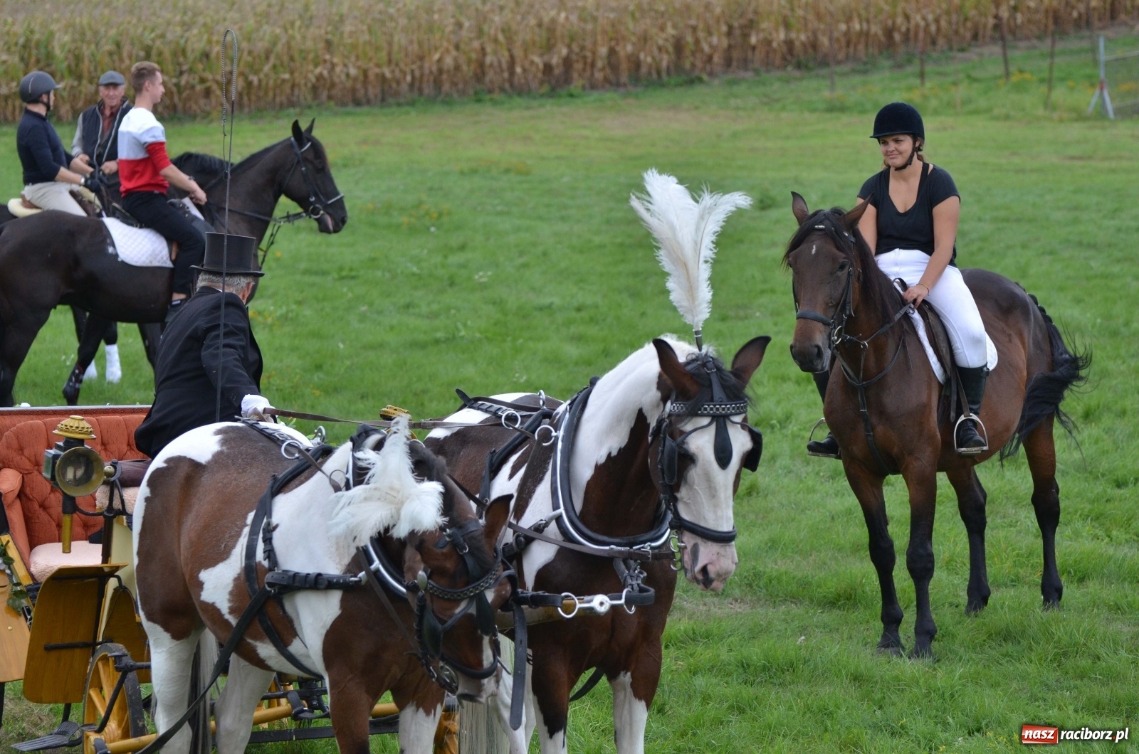 Zdjęcie w galerii na portalu naszraciborz.pl: Raciborski Hubertus 2019 [FOTO i WIDEO] wiadomości z regionu