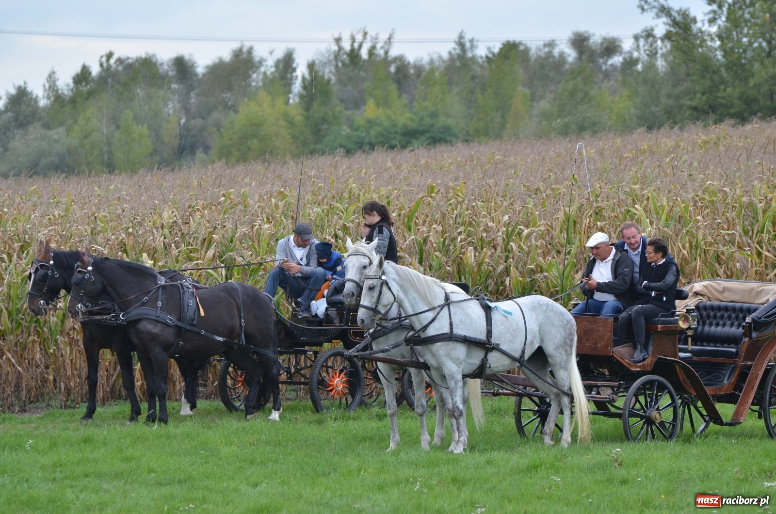Zdjęcie w galerii na portalu naszraciborz.pl: Raciborski Hubertus 2019 [FOTO i WIDEO] wiadomości z regionu