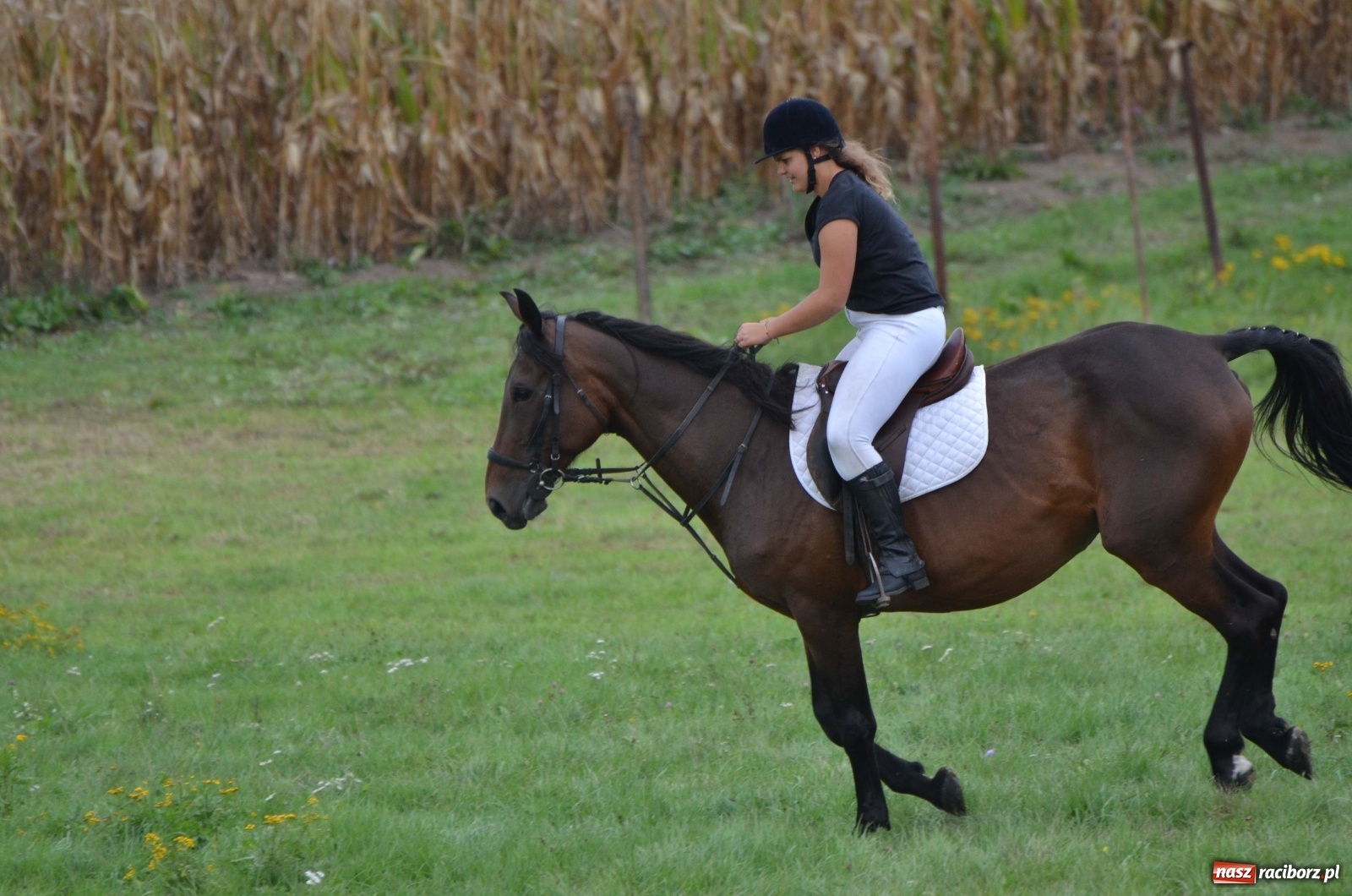 Zdjęcie w galerii na portalu naszraciborz.pl: Raciborski Hubertus 2019 [FOTO i WIDEO] wiadomości z regionu