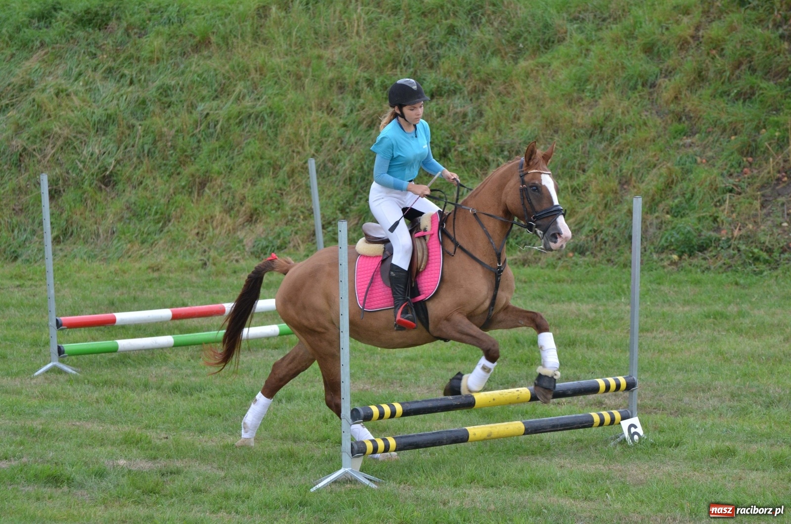 Zdjęcie w galerii na portalu naszraciborz.pl: Raciborski Hubertus 2019 [FOTO i WIDEO] wiadomości z regionu