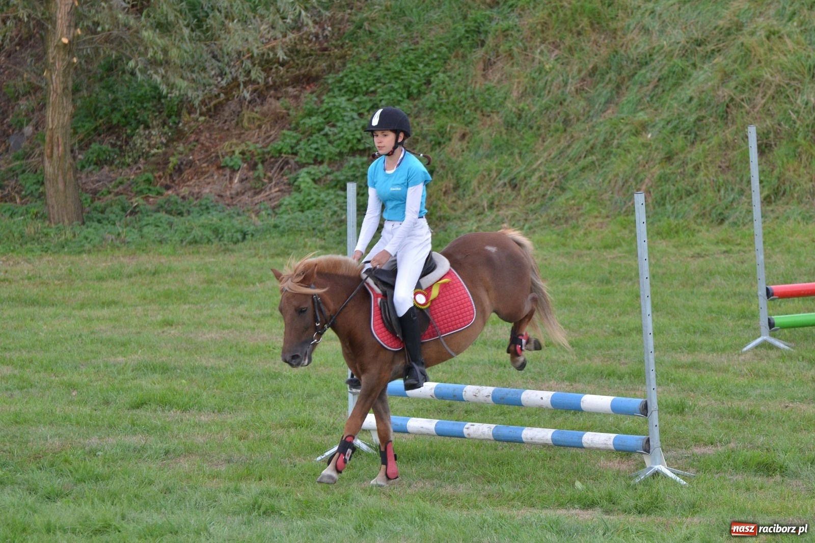 Zdjęcie w galerii na portalu naszraciborz.pl: Raciborski Hubertus 2019 [FOTO i WIDEO] wiadomości z regionu
